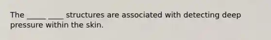 The _____ ____ structures are associated with detecting deep pressure within the skin.