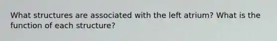 What structures are associated with the left atrium? What is the function of each structure?