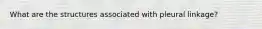 What are the structures associated with pleural linkage?