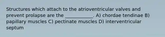 Structures which attach to the atrioventricular valves and prevent prolapse are the ____________. A) chordae tendinae B) papillary muscles C) pectinate muscles D) interventricular septum