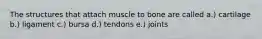 The structures that attach muscle to bone are called a.) cartilage b.) ligament c.) bursa d.) tendons e.) joints