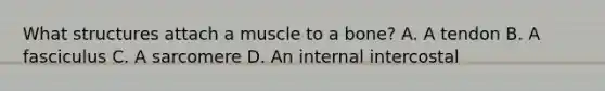 What structures attach a muscle to a bone? A. A tendon B. A fasciculus C. A sarcomere D. An internal intercostal