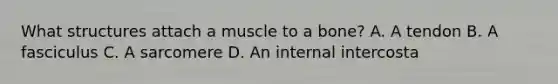 What structures attach a muscle to a bone? A. A tendon B. A fasciculus C. A sarcomere D. An internal intercosta