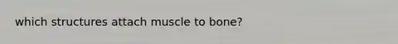 which structures attach muscle to bone?