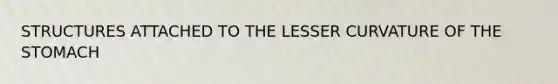 STRUCTURES ATTACHED TO THE LESSER CURVATURE OF <a href='https://www.questionai.com/knowledge/kLccSGjkt8-the-stomach' class='anchor-knowledge'>the stomach</a>
