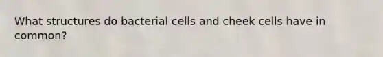 What structures do bacterial cells and cheek cells have in common?