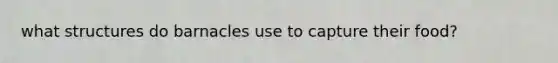 what structures do barnacles use to capture their food?