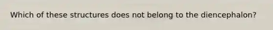 Which of these structures does not belong to the diencephalon?