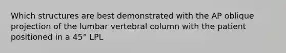 Which structures are best demonstrated with the AP oblique projection of the lumbar vertebral column with the patient positioned in a 45° LPL