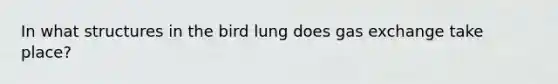 In what structures in the bird lung does gas exchange take place?