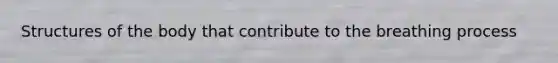 Structures of the body that contribute to the breathing process