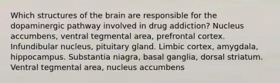 Which structures of the brain are responsible for the dopaminergic pathway involved in drug addiction? Nucleus accumbens, ventral tegmental area, prefrontal cortex. Infundibular nucleus, pituitary gland. Limbic cortex, amygdala, hippocampus. Substantia niagra, basal ganglia, dorsal striatum. Ventral tegmental area, nucleus accumbens