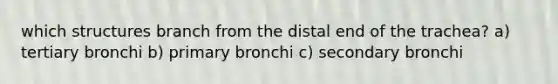 which structures branch from the distal end of the trachea? a) tertiary bronchi b) primary bronchi c) secondary bronchi