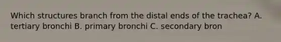 Which structures branch from the distal ends of the trachea? A. tertiary bronchi B. primary bronchi C. secondary bron