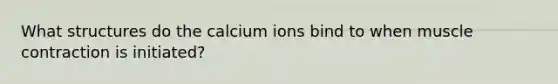 What structures do the calcium ions bind to when muscle contraction is initiated?