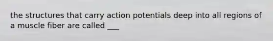 the structures that carry action potentials deep into all regions of a muscle fiber are called ___