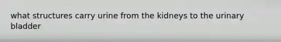 what structures carry urine from the kidneys to the urinary bladder