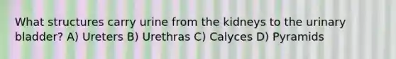 What structures carry urine from the kidneys to the urinary bladder? A) Ureters B) Urethras C) Calyces D) Pyramids