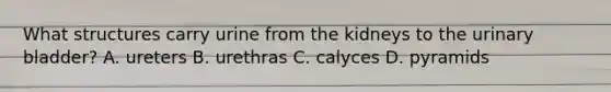 What structures carry urine from the kidneys to the urinary bladder? A. ureters B. urethras C. calyces D. pyramids