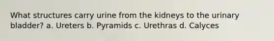 What structures carry urine from the kidneys to the urinary bladder? a. Ureters b. Pyramids c. Urethras d. Calyces