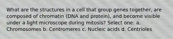 What are the structures in a cell that group genes together, are composed of chromatin (DNA and protein), and become visible under a light microscope during mitosis? Select one: a. Chromosomes b. Centromeres c. Nucleic acids d. Centrioles