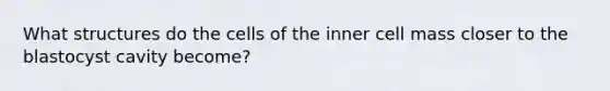 What structures do the cells of the inner cell mass closer to the blastocyst cavity become?