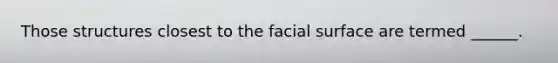 Those structures closest to the facial surface are termed ______.