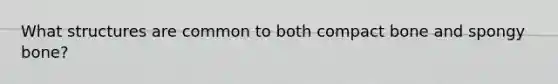 What structures are common to both compact bone and spongy bone?