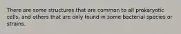 There are some structures that are common to all prokaryotic cells, and others that are only found in some bacterial species or strains.