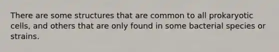 There are some structures that are common to all prokaryotic cells, and others that are only found in some bacterial species or strains.
