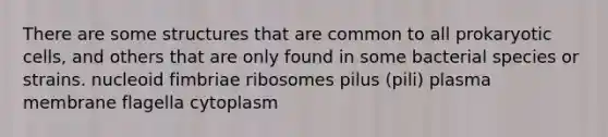 There are some structures that are common to all prokaryotic cells, and others that are only found in some bacterial species or strains. nucleoid fimbriae ribosomes pilus (pili) plasma membrane flagella cytoplasm