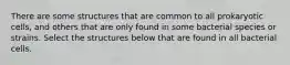 There are some structures that are common to all prokaryotic cells, and others that are only found in some bacterial species or strains. Select the structures below that are found in all bacterial cells.