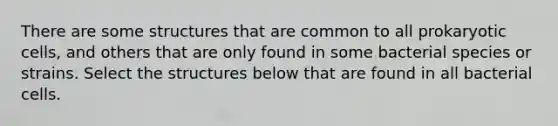There are some structures that are common to all prokaryotic cells, and others that are only found in some bacterial species or strains. Select the structures below that are found in all bacterial cells.