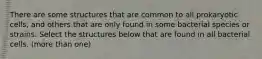 There are some structures that are common to all prokaryotic cells, and others that are only found in some bacterial species or strains. Select the structures below that are found in all bacterial cells. (more than one)