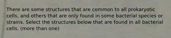 There are some structures that are common to all prokaryotic cells, and others that are only found in some bacterial species or strains. Select the structures below that are found in all bacterial cells. (more than one)