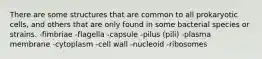 There are some structures that are common to all prokaryotic cells, and others that are only found in some bacterial species or strains. -fimbriae -flagella -capsule -pilus (pili) -plasma membrane -cytoplasm -cell wall -nucleoid -ribosomes