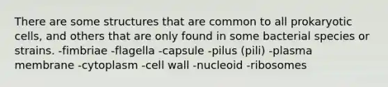 There are some structures that are common to all prokaryotic cells, and others that are only found in some bacterial species or strains. -fimbriae -flagella -capsule -pilus (pili) -plasma membrane -cytoplasm -cell wall -nucleoid -ribosomes