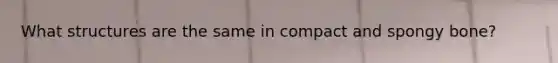 What structures are the same in compact and spongy bone?