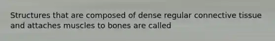 Structures that are composed of dense regular connective tissue and attaches muscles to bones are called