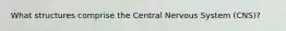 What structures comprise the Central Nervous System (CNS)?