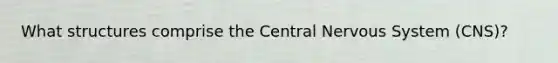 What structures comprise the Central Nervous System (CNS)?