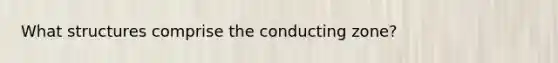 What structures comprise the conducting zone?