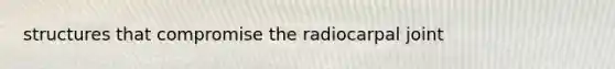 structures that compromise the radiocarpal joint