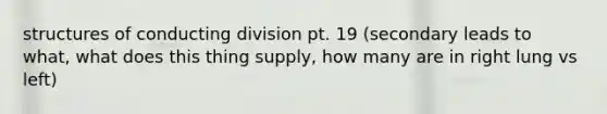 structures of conducting division pt. 19 (secondary leads to what, what does this thing supply, how many are in right lung vs left)