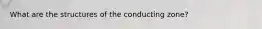 What are the structures of the conducting zone?