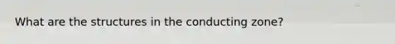 What are the structures in the conducting zone?