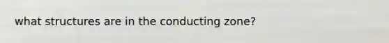 what structures are in the conducting zone?