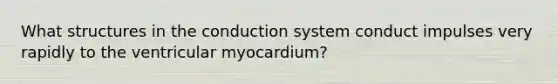 What structures in the conduction system conduct impulses very rapidly to the ventricular myocardium?