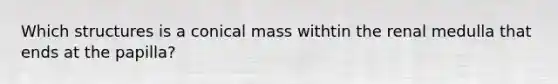 Which structures is a conical mass withtin the renal medulla that ends at the papilla?