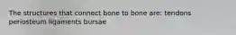 The structures that connect bone to bone are: tendons periosteum ligaments bursae